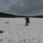Stacks Image 869