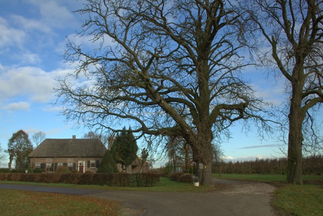 Kouweklauwen-013-Meteren.png